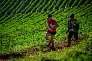 BIB: 
                            <button type="button" onclick="openModal(19161107)" class="btn btn-primary btn-sm float-right btn-popup" data-toggle="modal" data-target=".modal-high-quality">
                        <i class="fas fa-shopping-cart"></i> Add to Cart
                    </button>
                                            <button type="button" onclick="isThisMe(19161107, true)" class="btn btn-success btn-sm float-right btn-popup btn-isme hidden" data-toggle="tooltip" data-placement="bottom" title="นี่คือรูปของคุณใช่ไหม คลิกที่นี่เพื่อเอาเข้าอัลบั้ม">
                        <i class="fas fa-plus"></i> Add to album
                    </button>
                    <button type="button" onclick="isThisMe(19161107, false)" class="btn btn-warning btn-sm float-right btn-popup btn-isnotme hidden">
                        <i class="fas fa-ban"></i> Remove from album
                    </button>